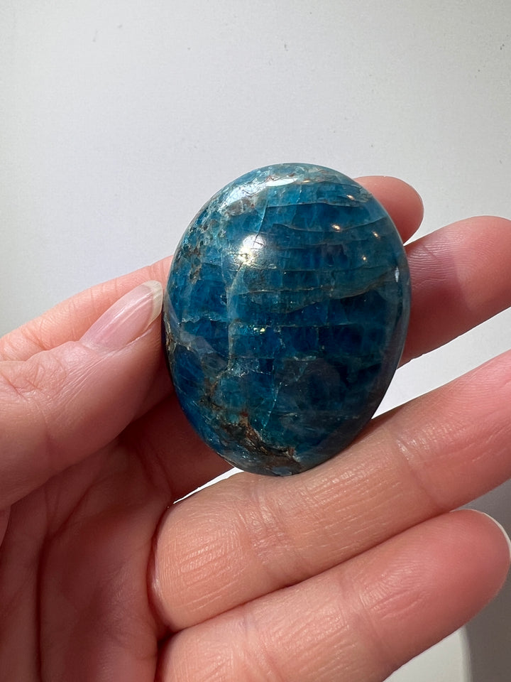 Apatite Palmstone (8)