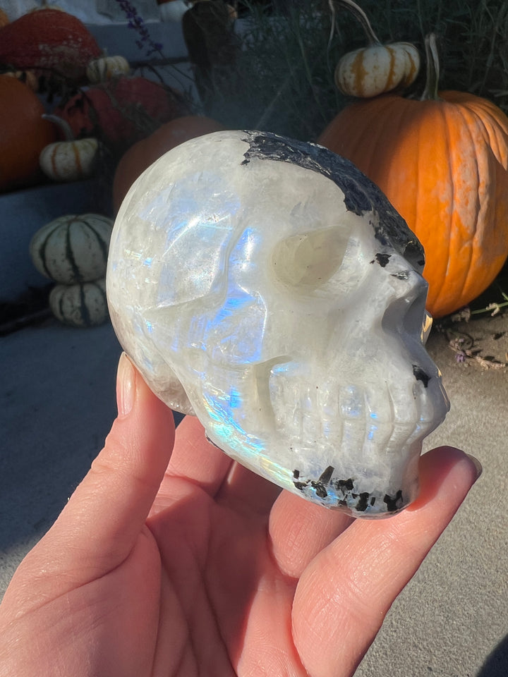 Rainbow Moonstone Skull | 596g