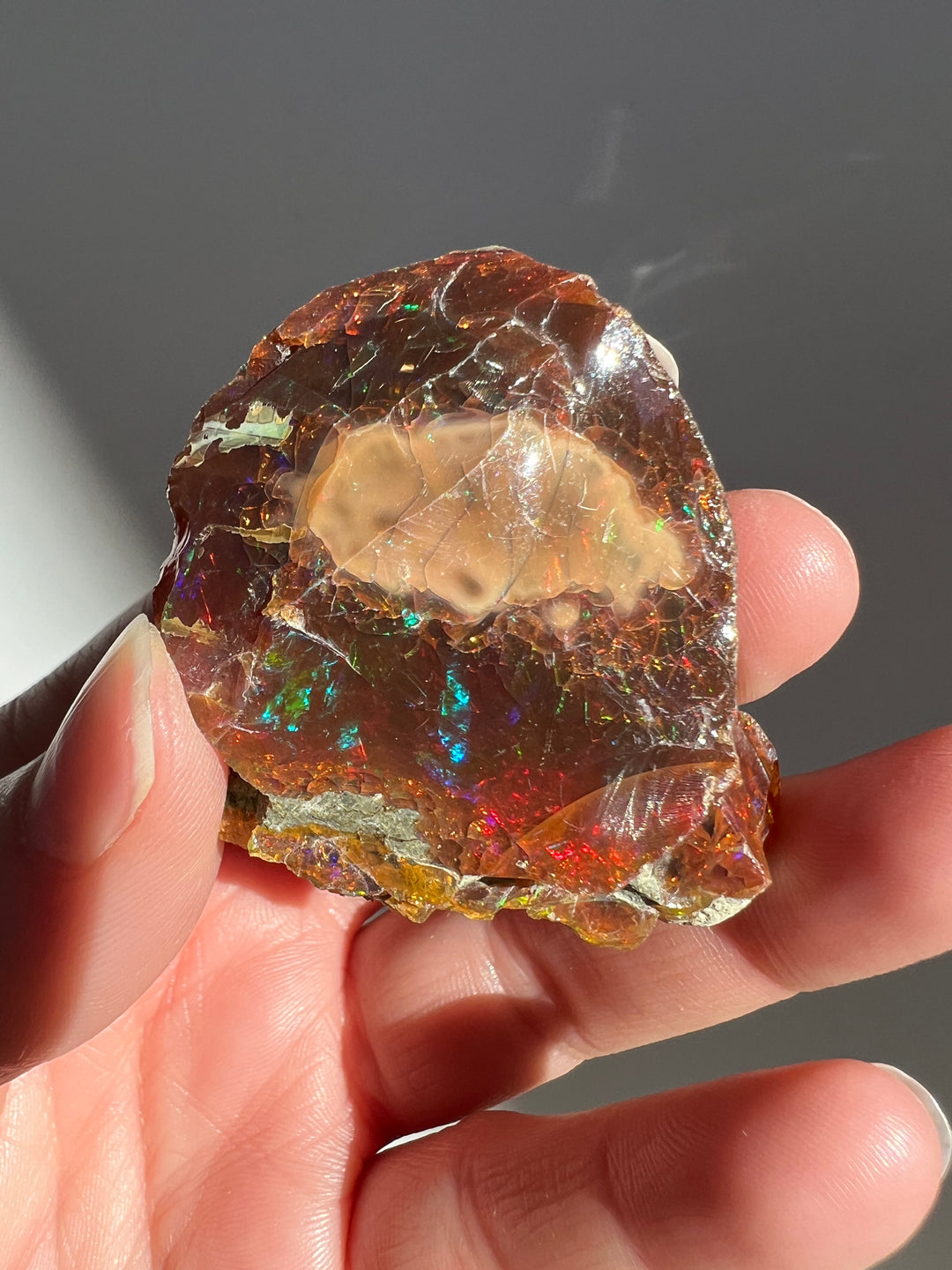 Polished Chocolate Opal (7)