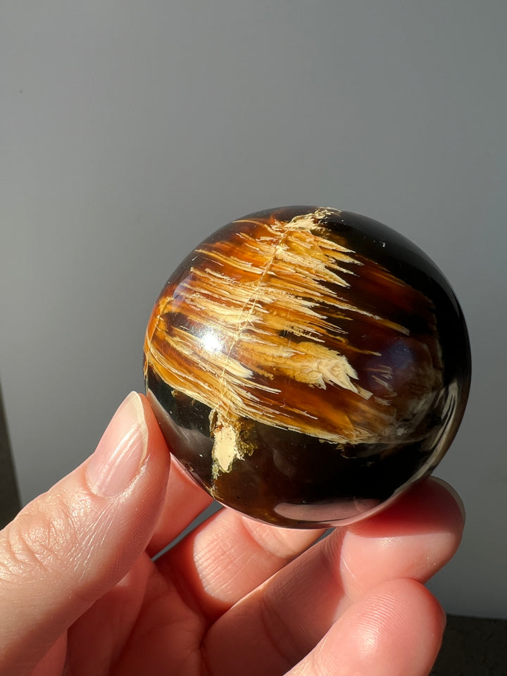 Indonesian Amber Sphere 6