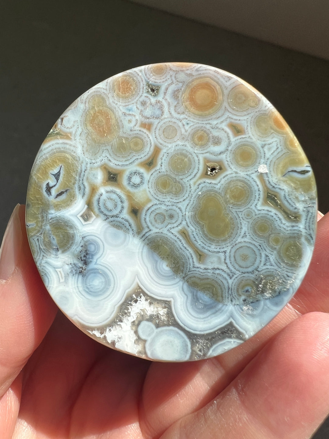 8th Vein Ocean Jasper Core |