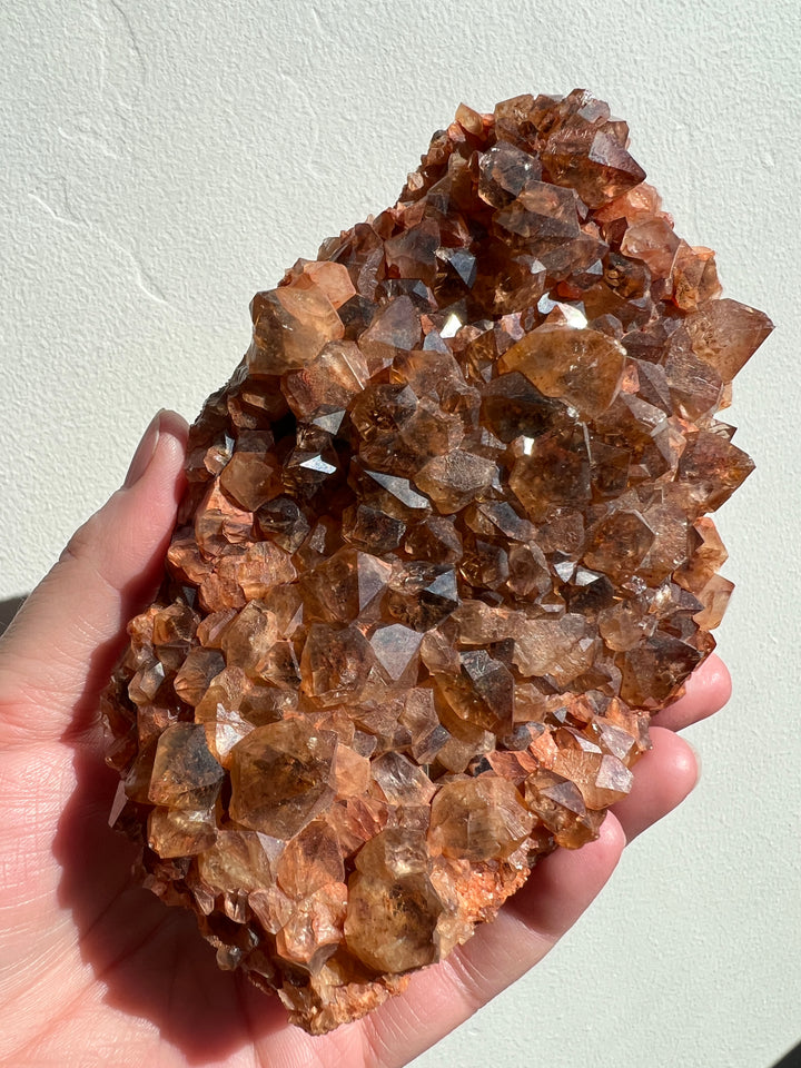 Citrine Cluster with Golden Rutile