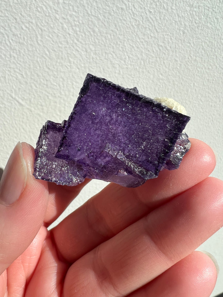 Vibrant Elmwood Fluorite | 51g