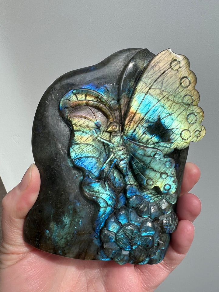 Labradorite Butterfly Carving 8