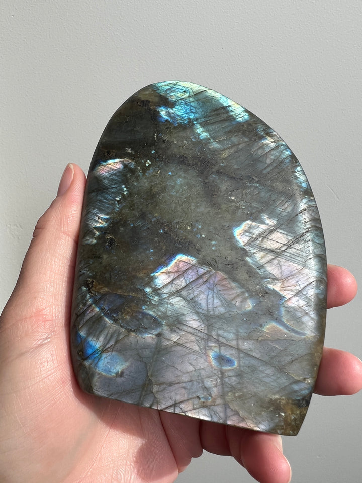 Labradorite Butterfly Carving 5