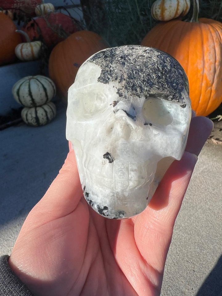 Rainbow Moonstone Skull | 596g