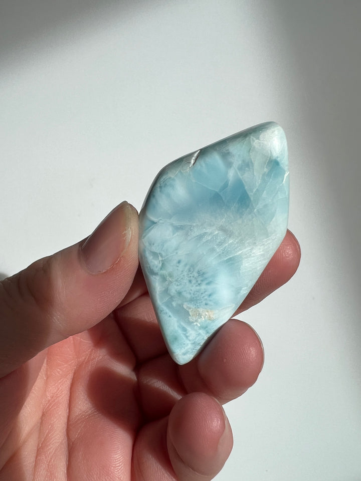 Larimar Palmstone 17 41.6g