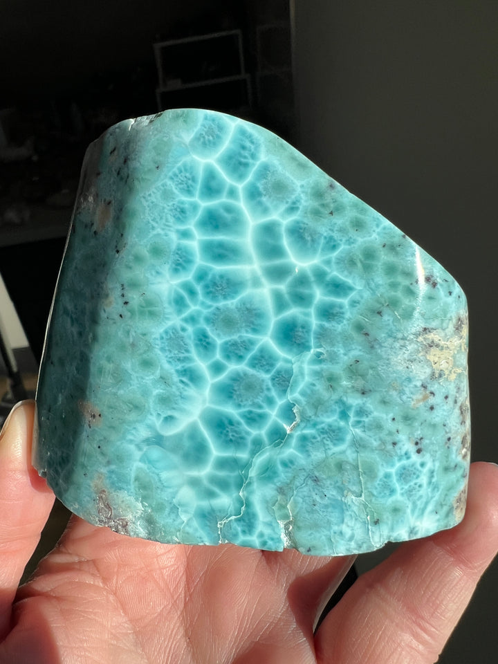 Larimar Freeform 476 grams (26)