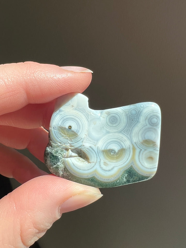 Blue 8th Vein Ocean Jasper Tumble (11)