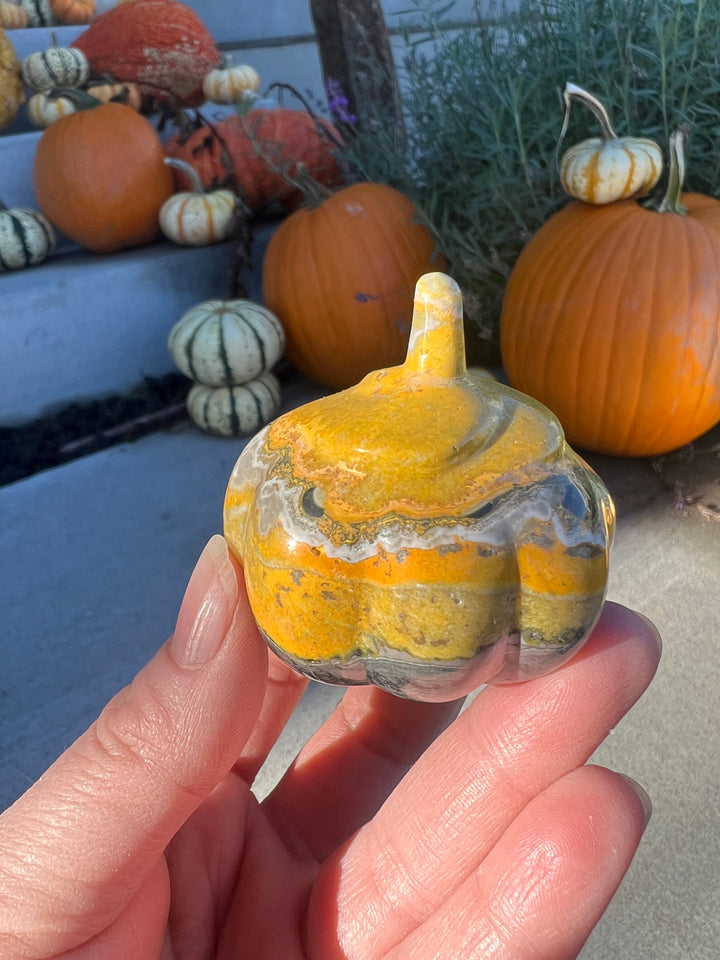 Bumblebee Jasper Pumpkin | 138g