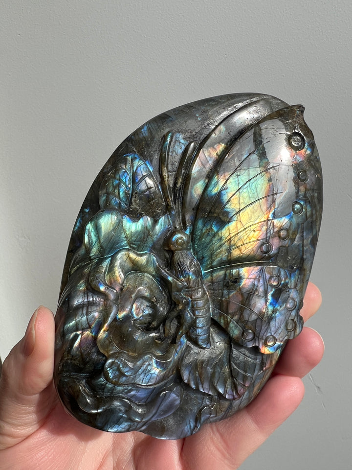 Labradorite Butterfly Carving 5