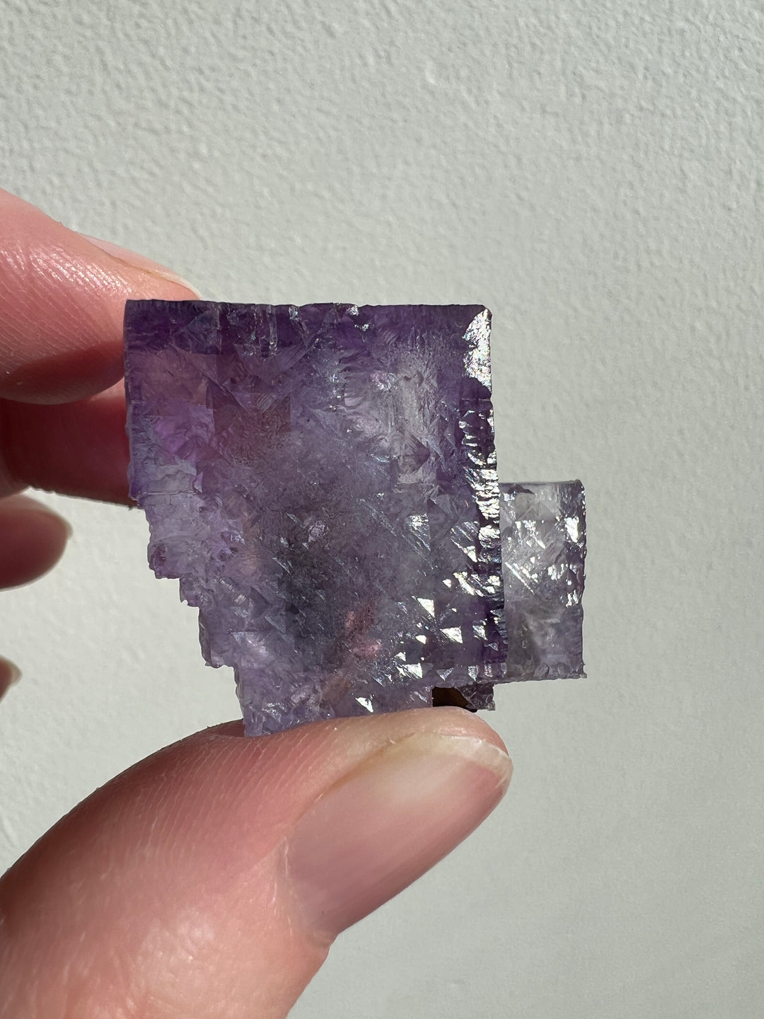 Ojuela Mine Fluorite | 45g