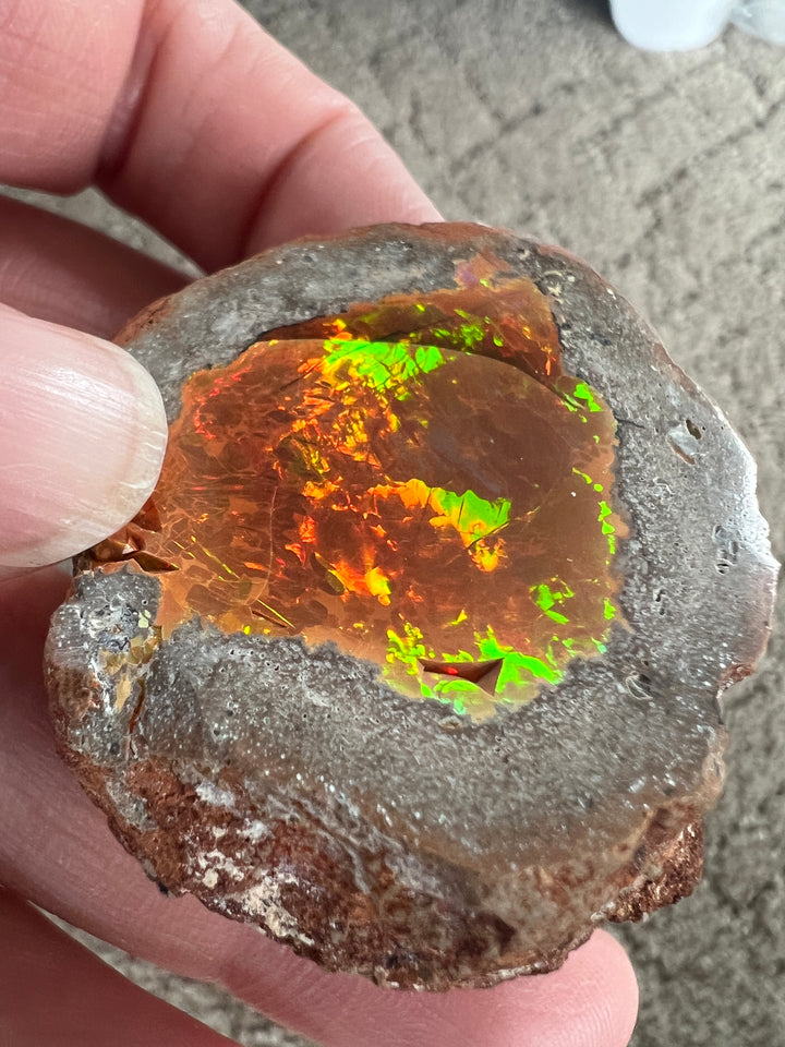 Polished Chocolate Opal (8)