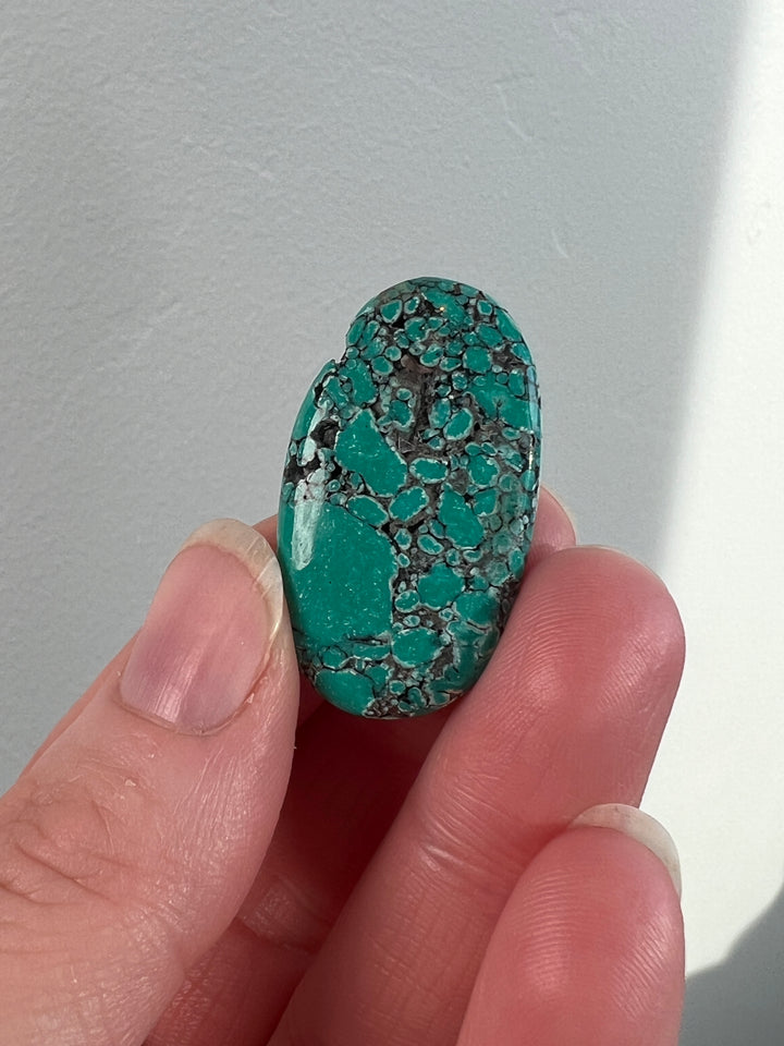 Tibetan Turquoise 9.5g (3)