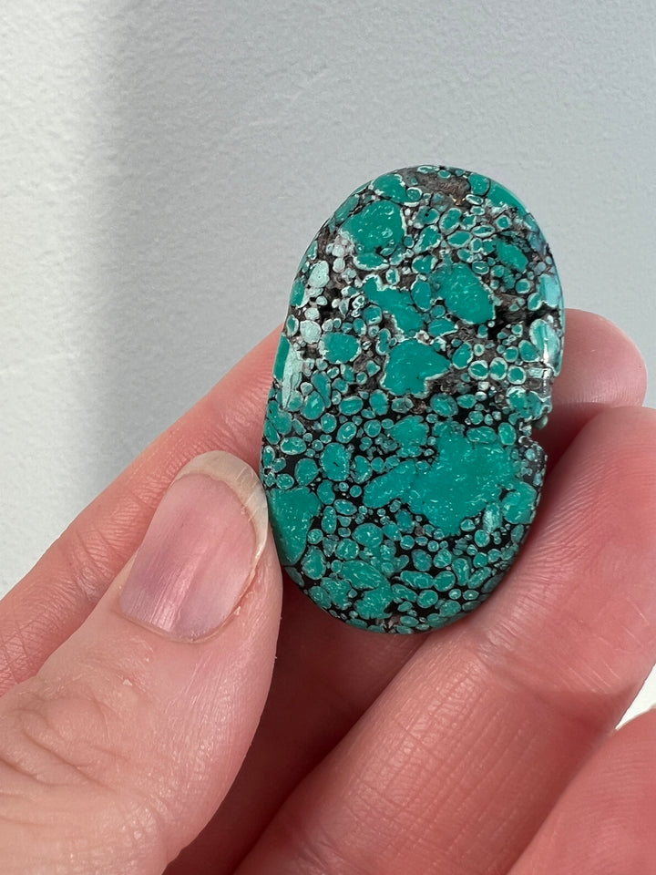 Tibetan Turquoise 16.7g (4)