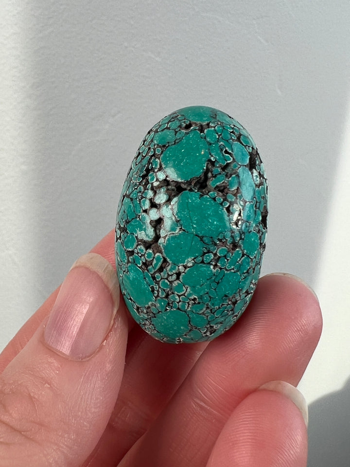 Tibetan Turquoise 30.9g (5)