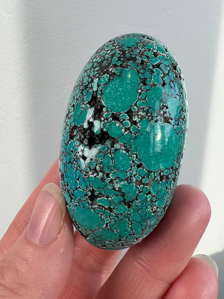 Tibetan Turquoise 105.5g (6)