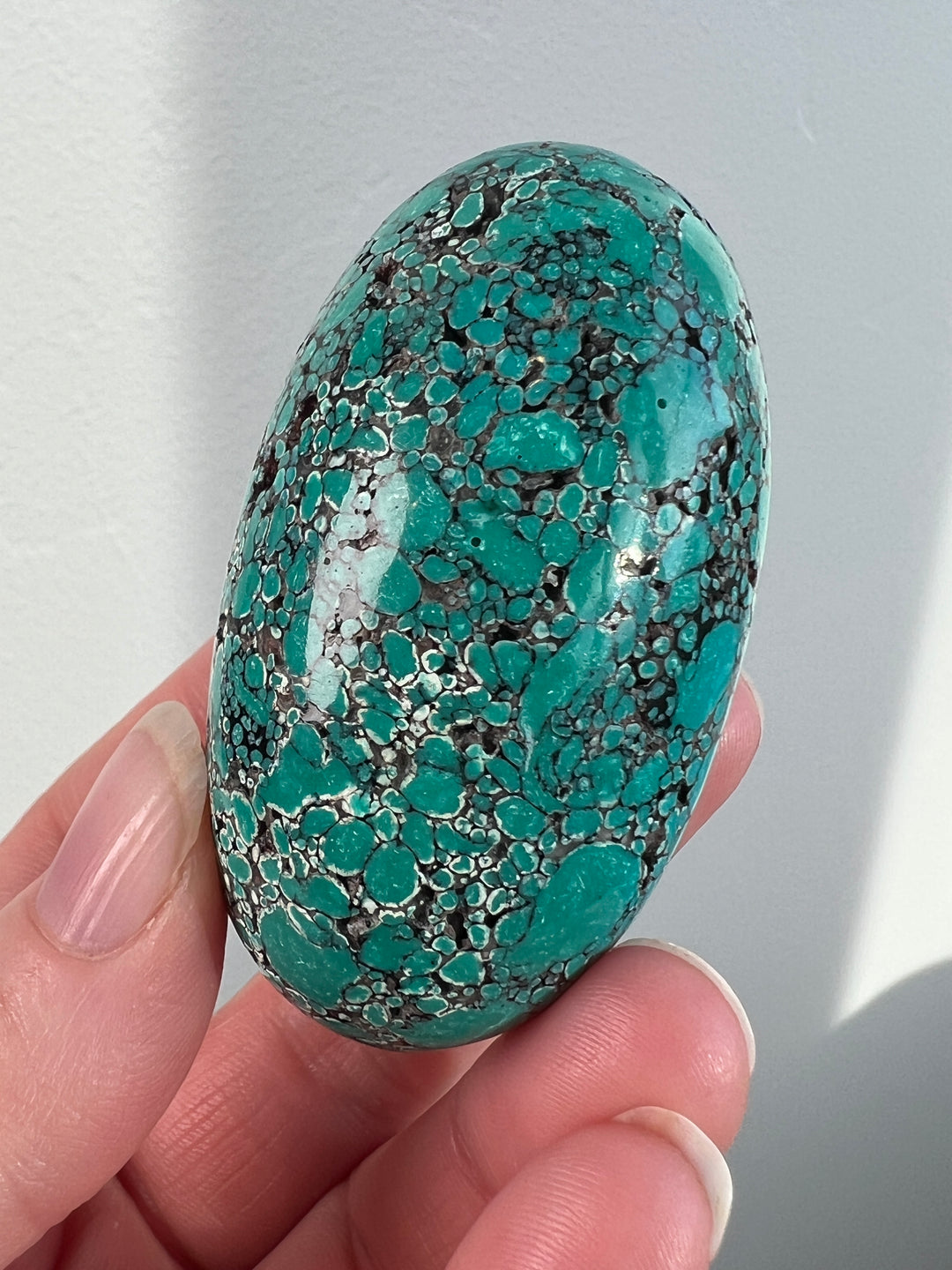 Tibetan Turquoise 105.5g (6)