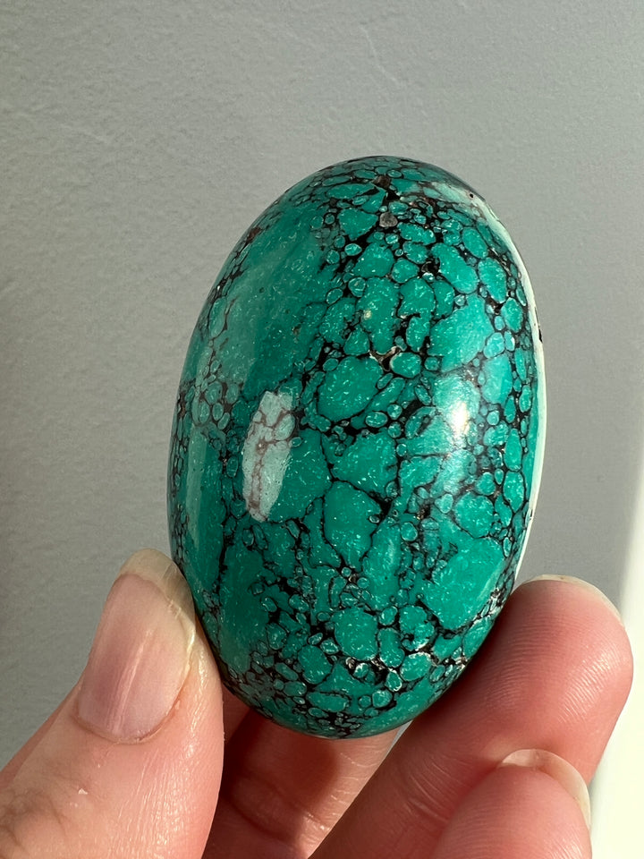 Tibetan Turquoise 117.7g (9)