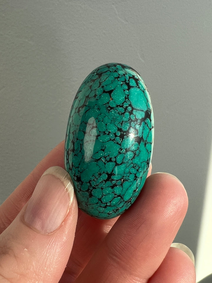 Tibetan Turquoise 37.2g (10)