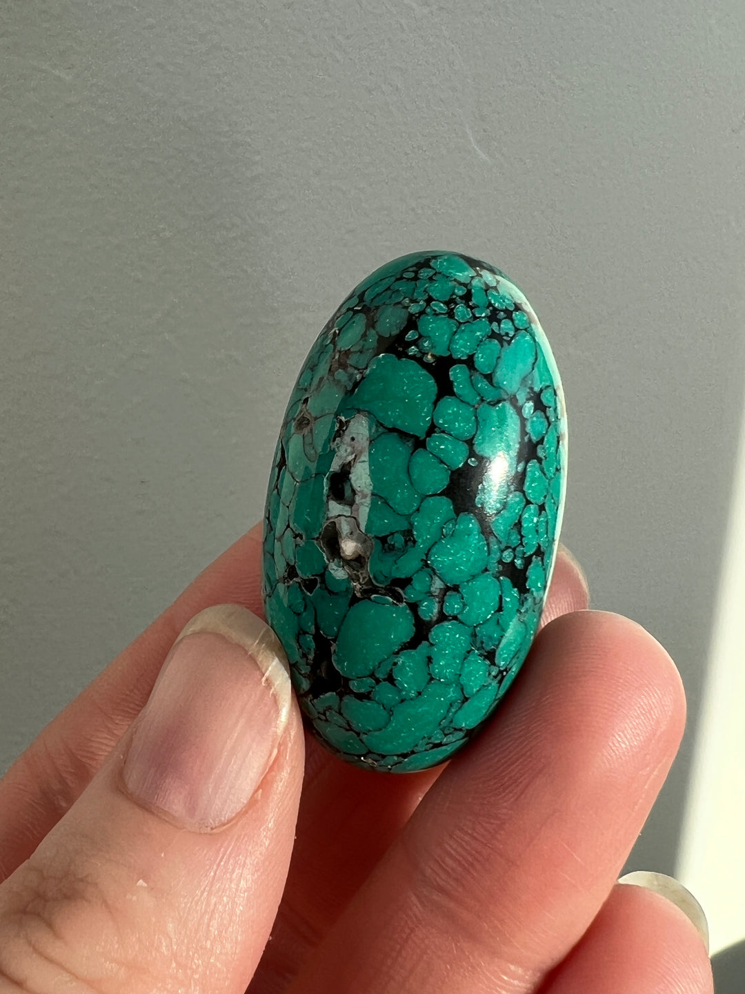 Tibetan Turquoise 37.2g (10)