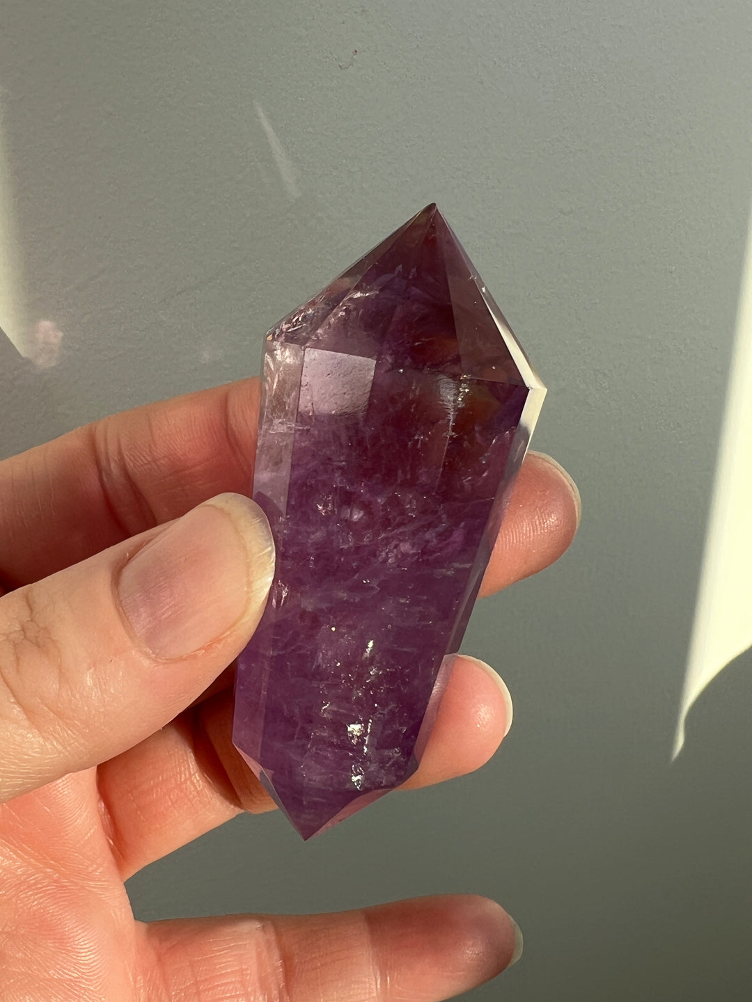 Ametrine Vogel (2)