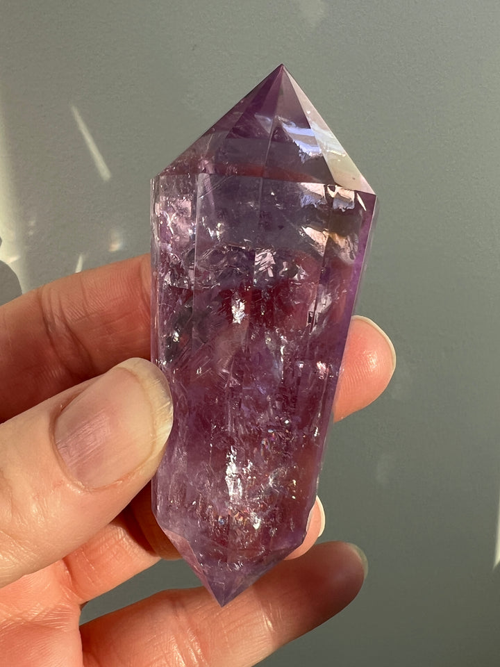 Ametrine Vogel (3)