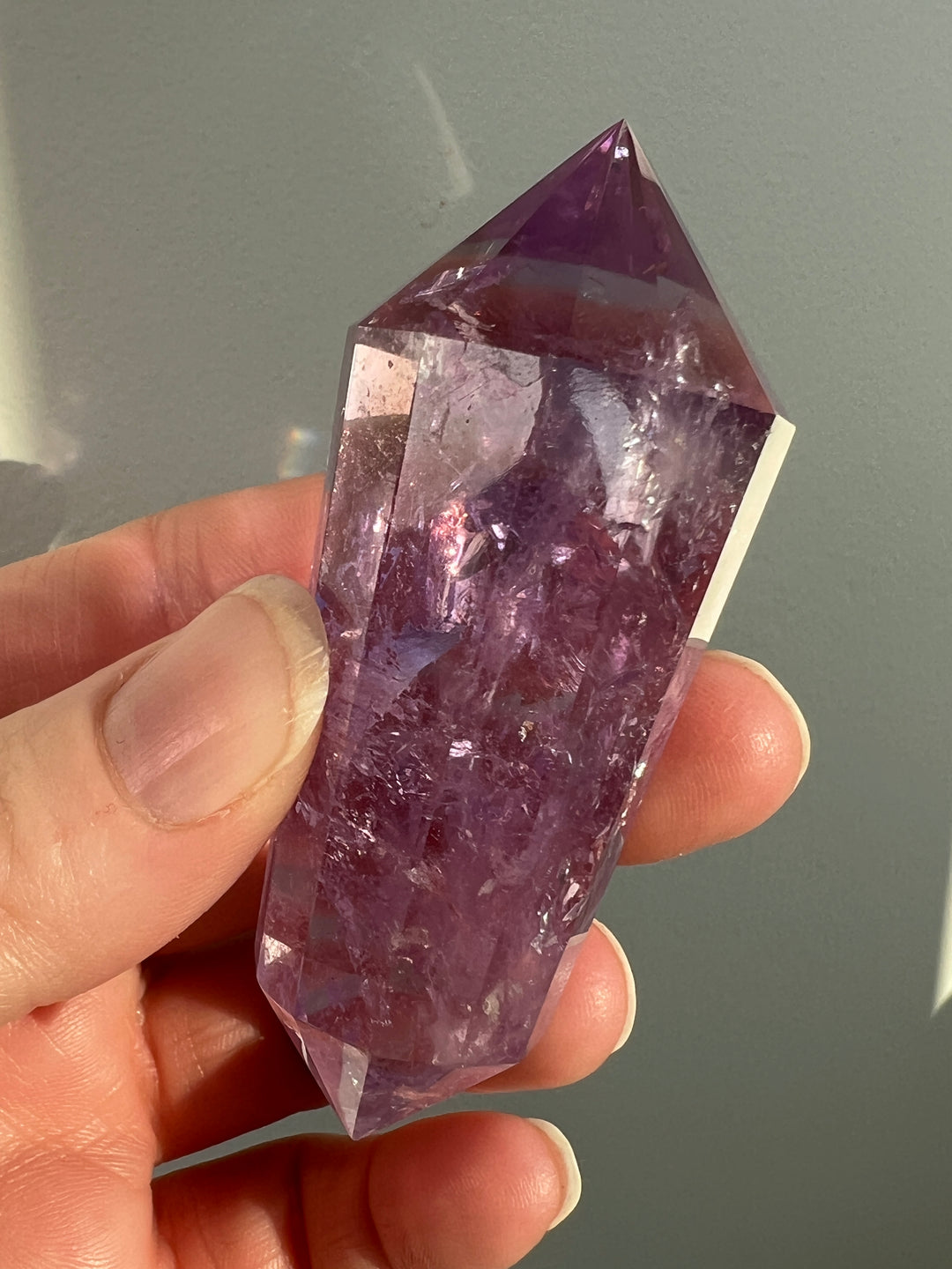 Ametrine Vogel (3)