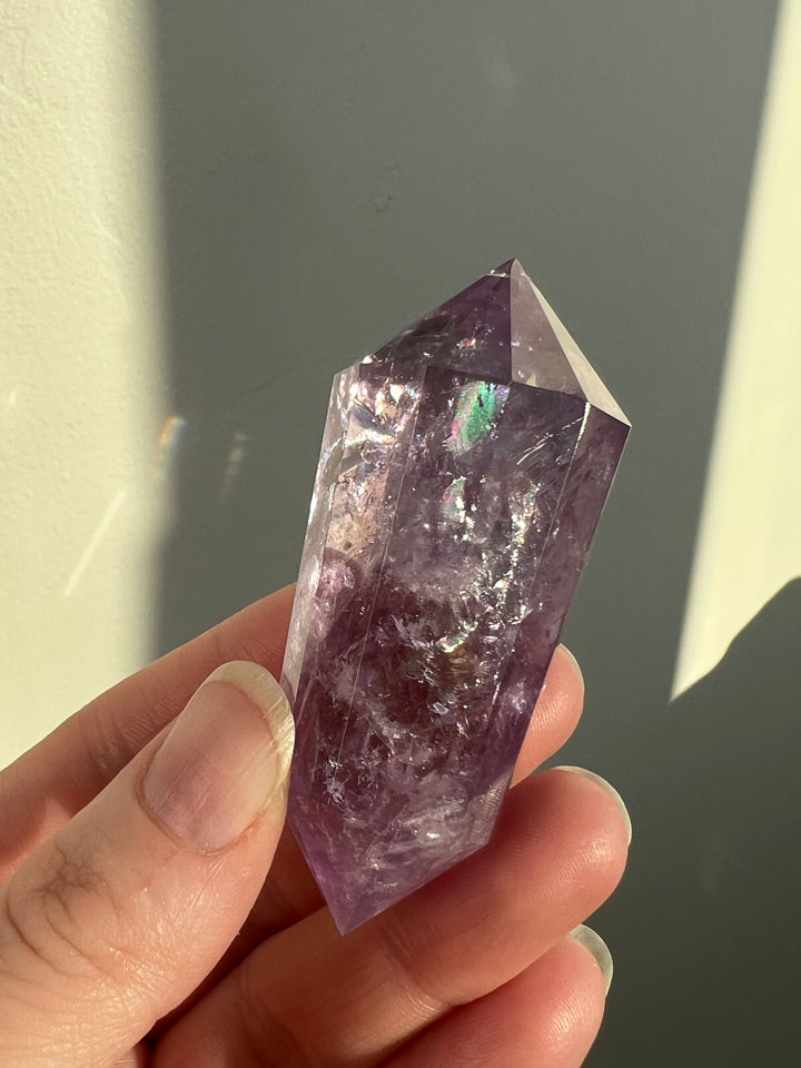 Amethyst Vogel (4)