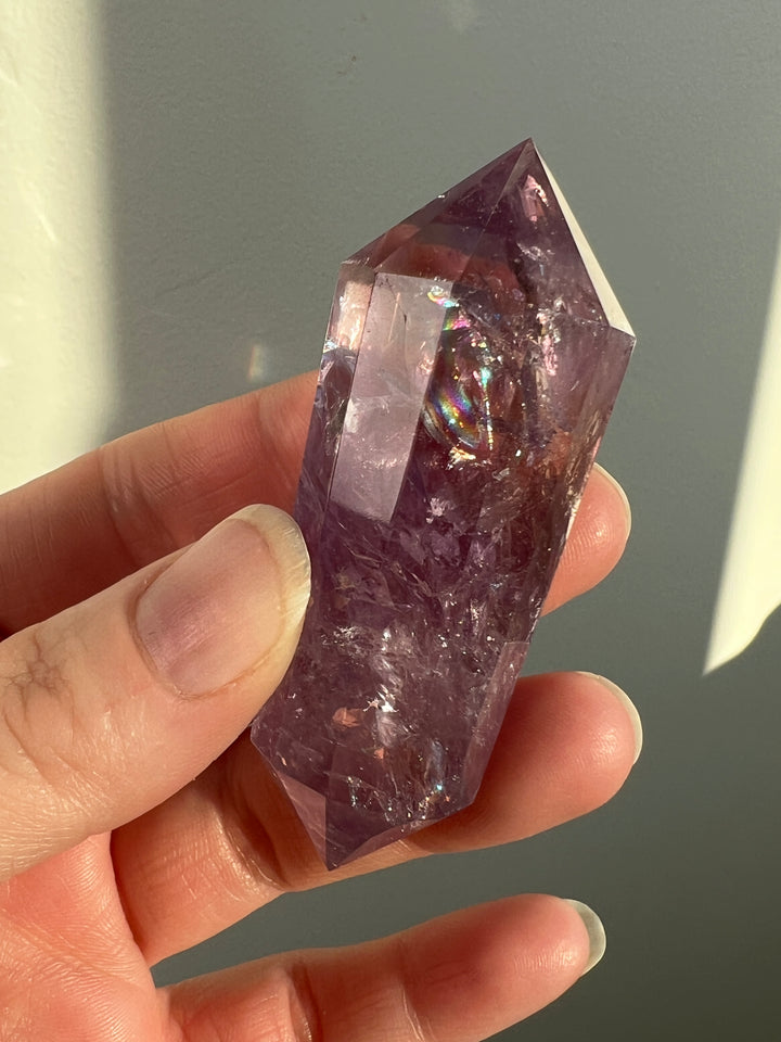 Amethyst Vogel (5)