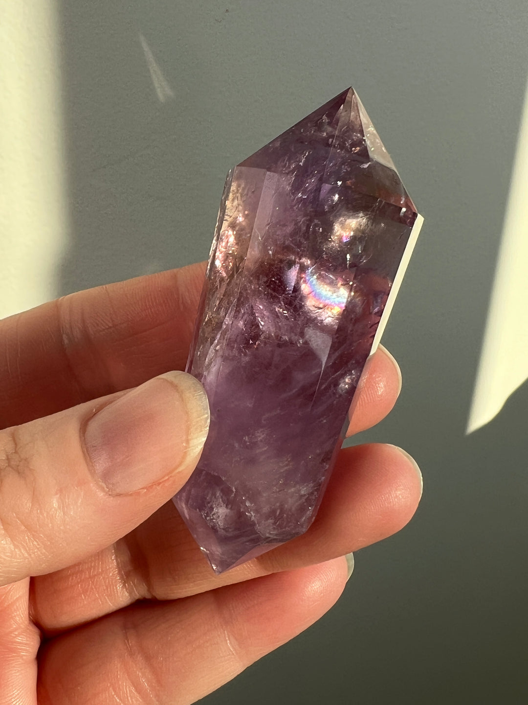 Amethyst Vogel (5)