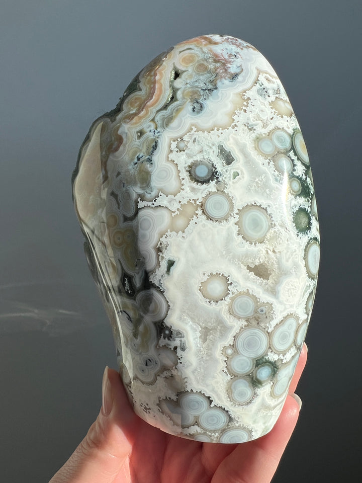 Ocean Jasper 8th Vein Freeform | 2lbs 11oz