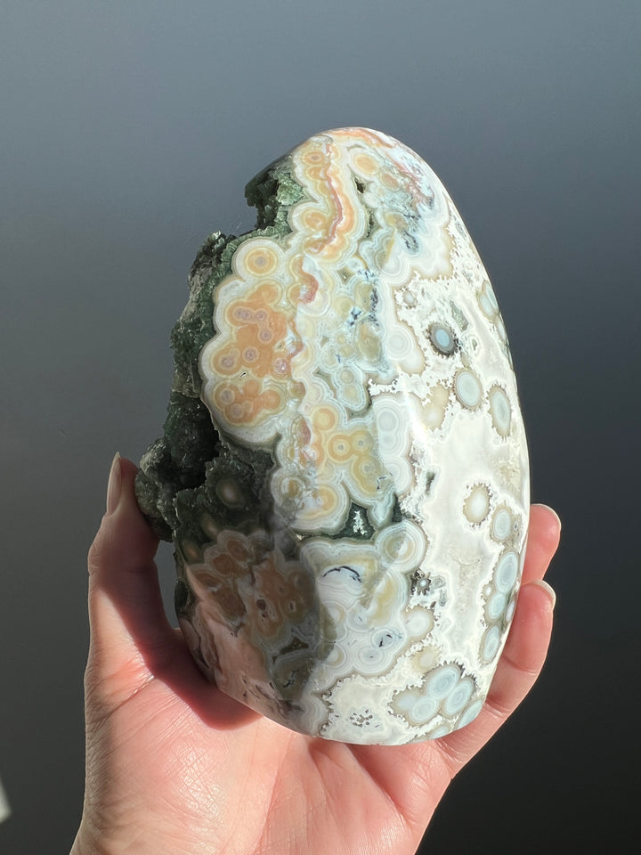 Ocean Jasper 8th Vein Freeform | 2lbs 11oz