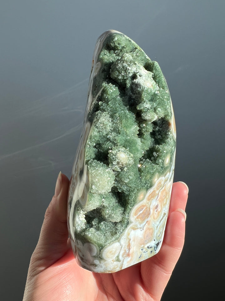 Ocean Jasper 8th Vein Freeform | 2lbs 11oz