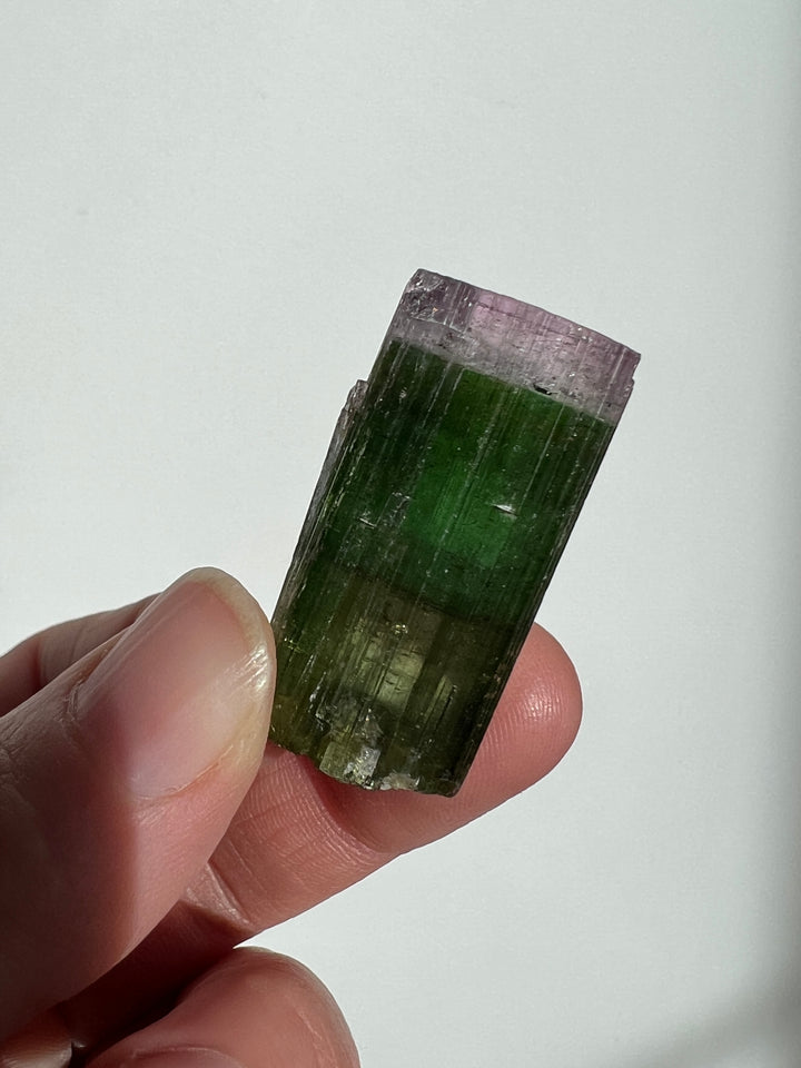 Pink Capped Tourmaline 1 19.9g Afghanistan