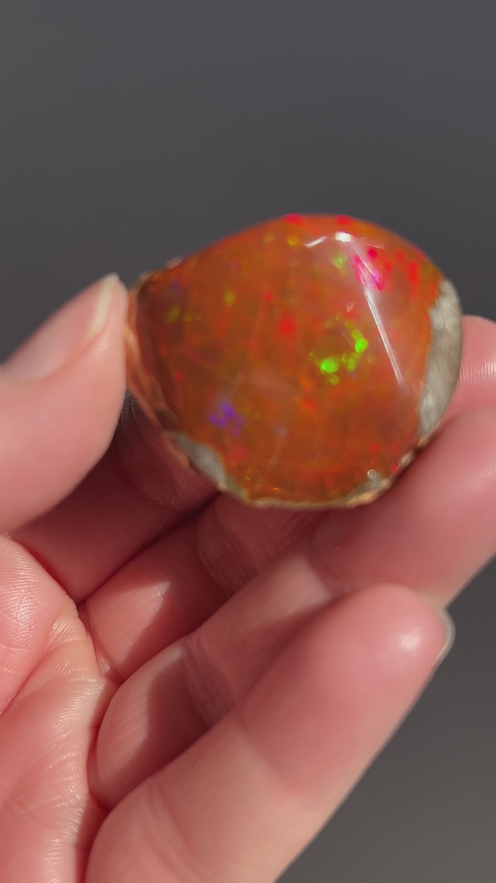 Polished Chocolate Opal (9)