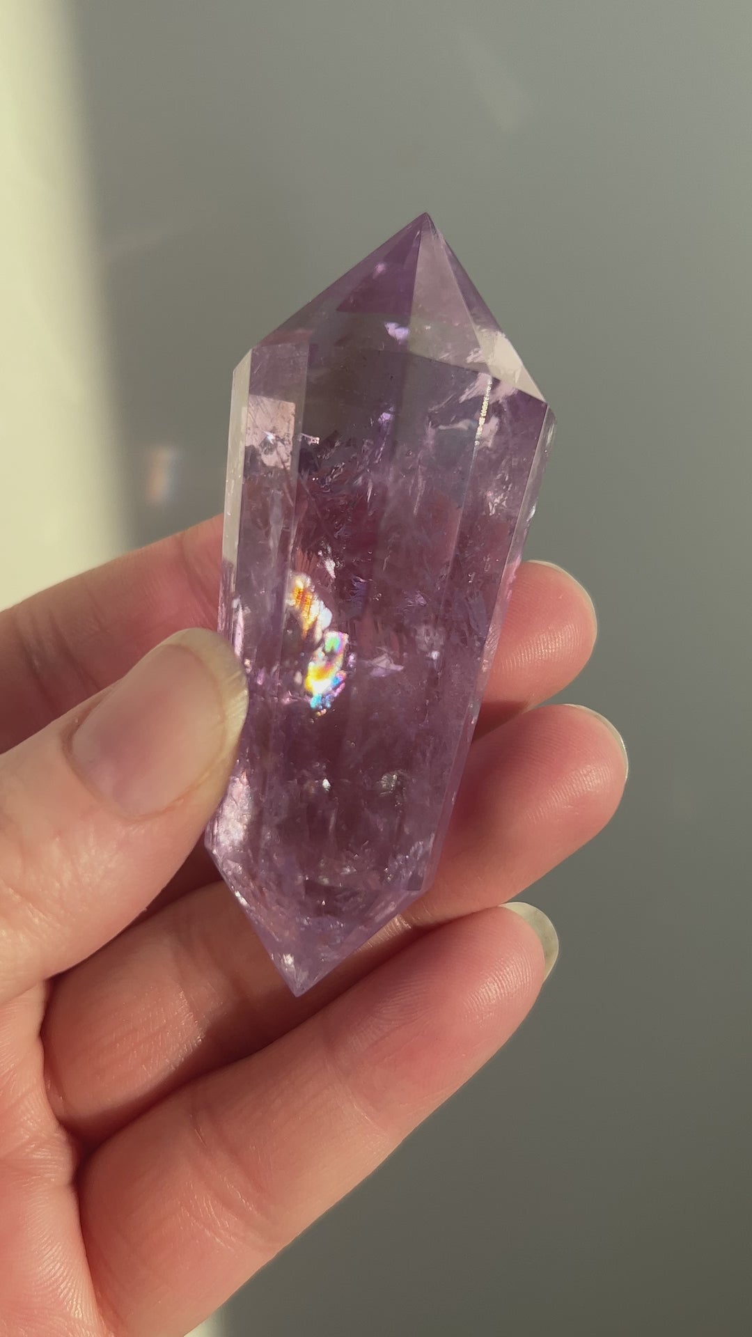 Ametrine Vogel (3)