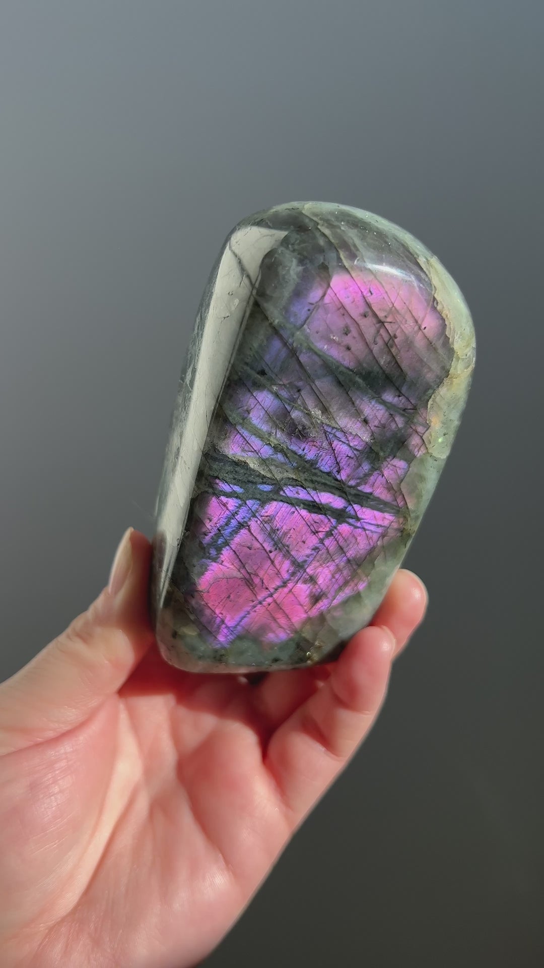 Purple Labradorite Freeform 1 | 570g