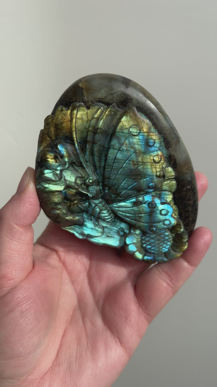 Labradorite Butterfly Carving 10