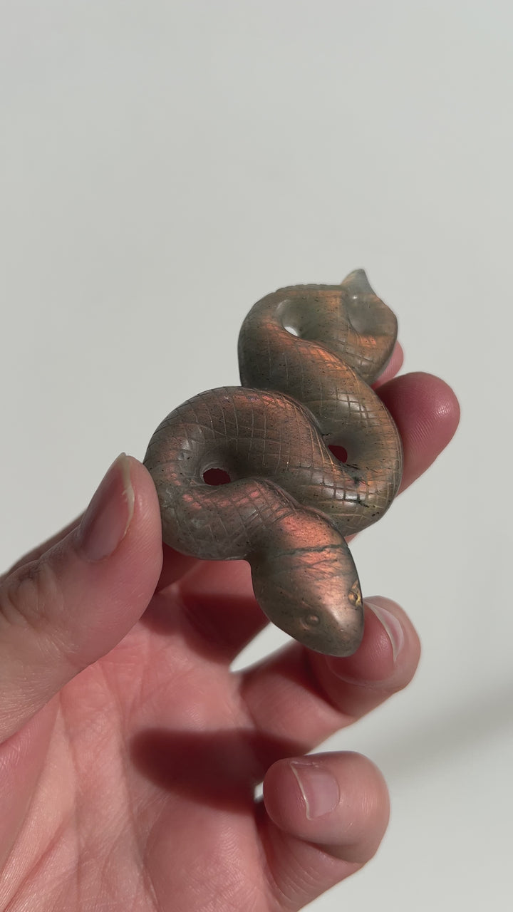 Labradorite Snake Carving (3)