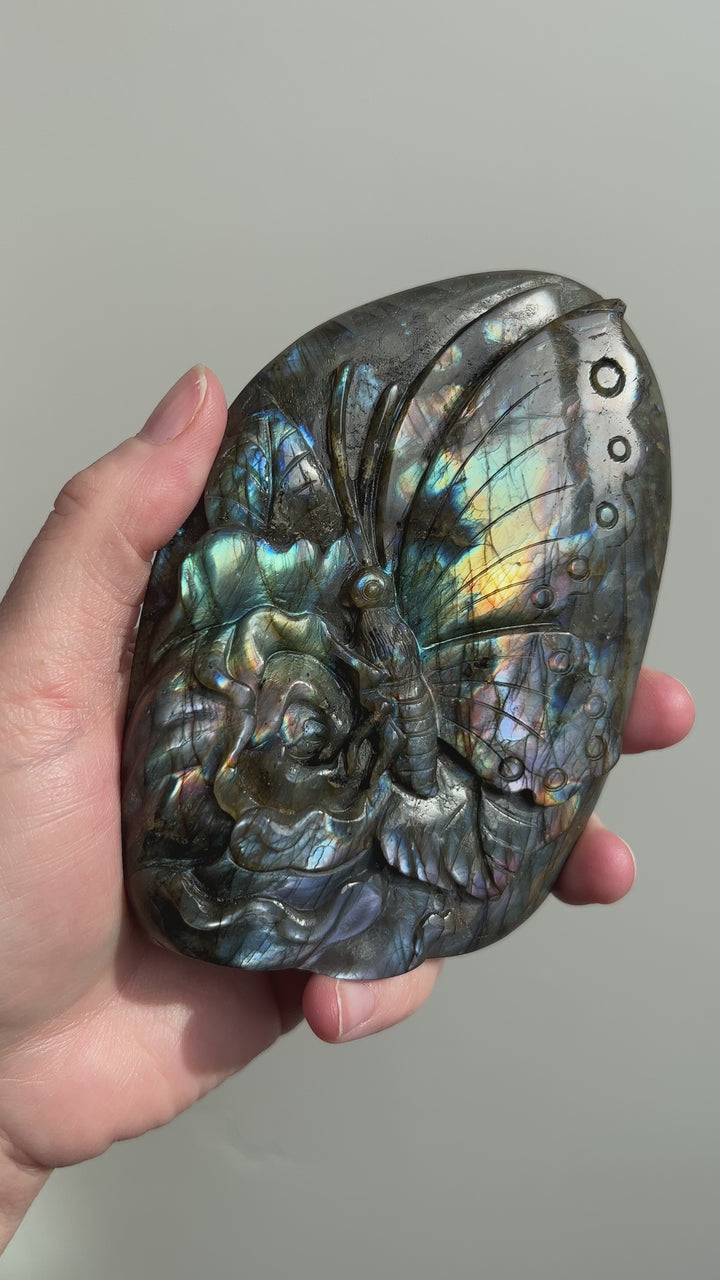 Labradorite Butterfly Carving 5