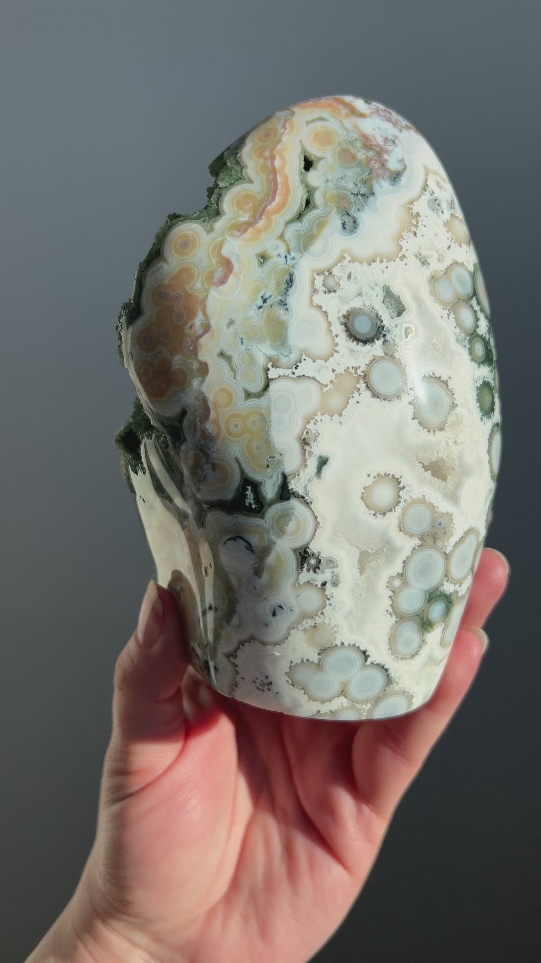 Ocean Jasper 8th Vein Freeform | 2lbs 11oz