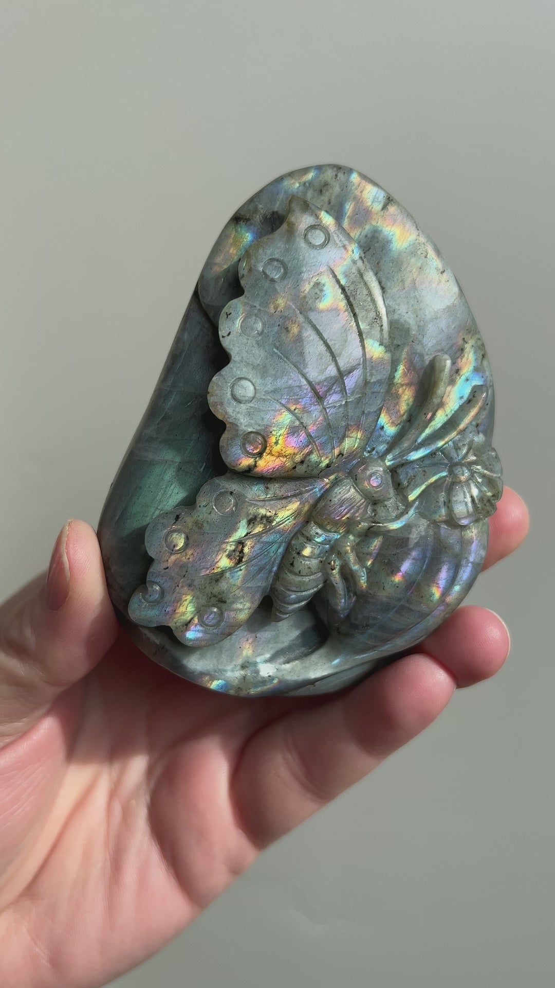 Labradorite Butterfly Carving 3