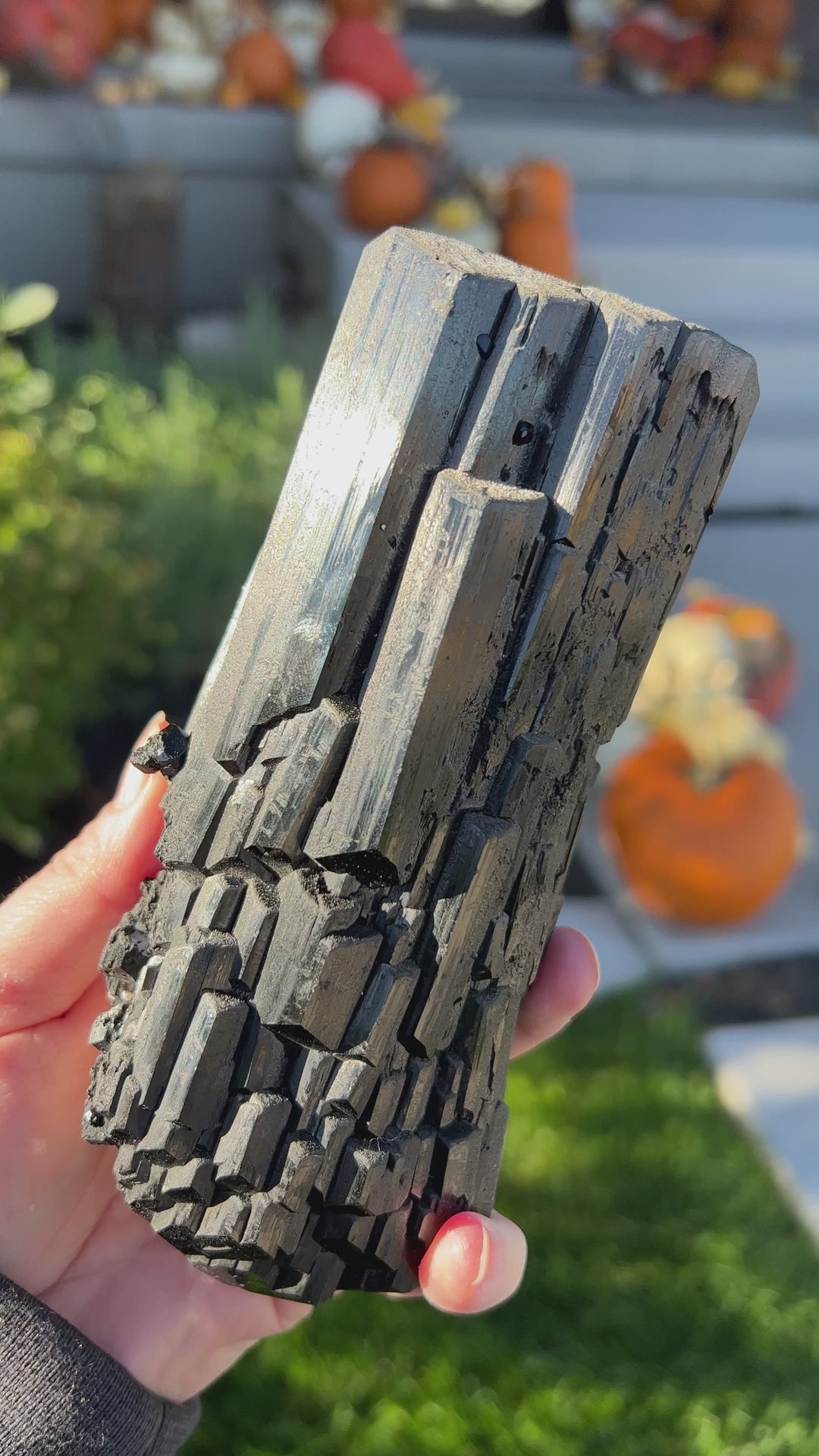 Lustrous Erongo Black Tourmaline Schorl | 2lbs 13oz