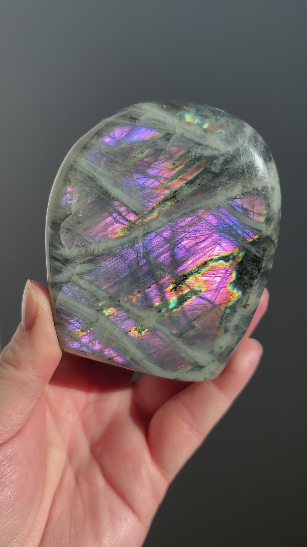 Purple Labradorite Freeform 2 | 553g