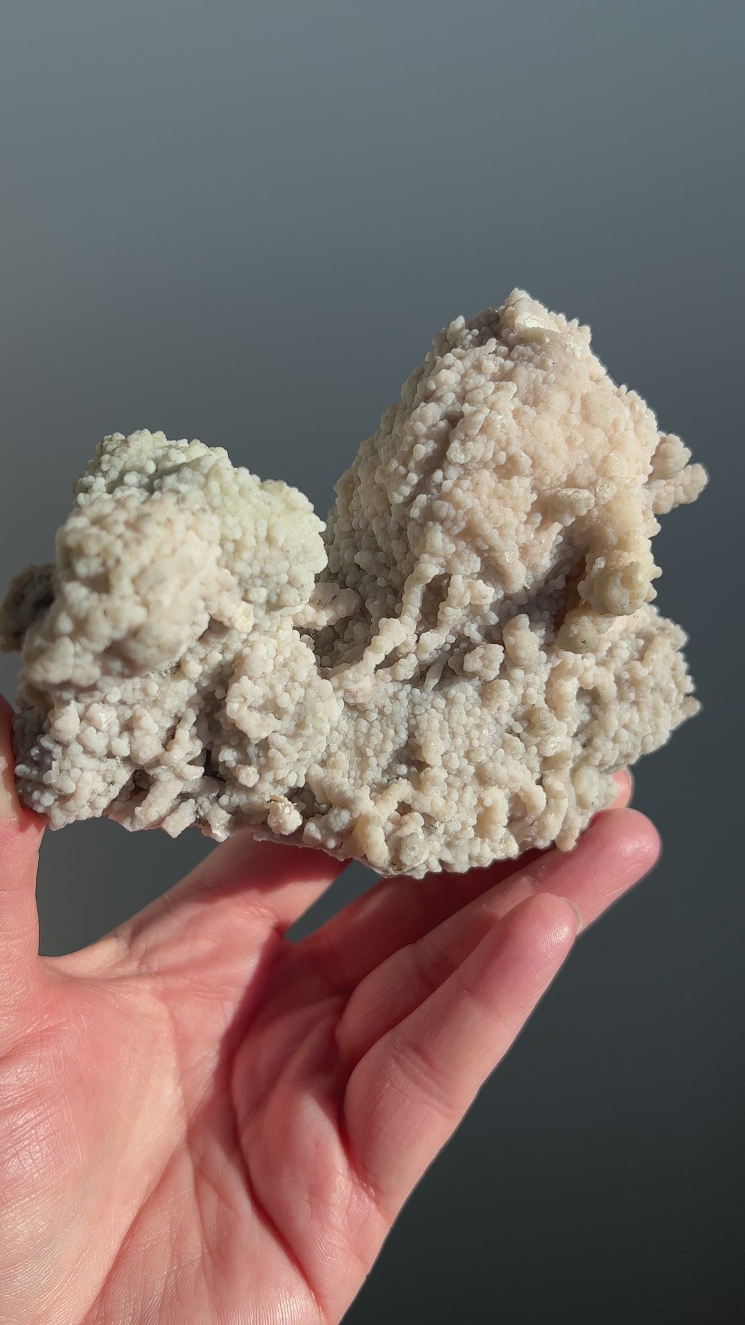 Danburite cluster with botryoidal Calcite