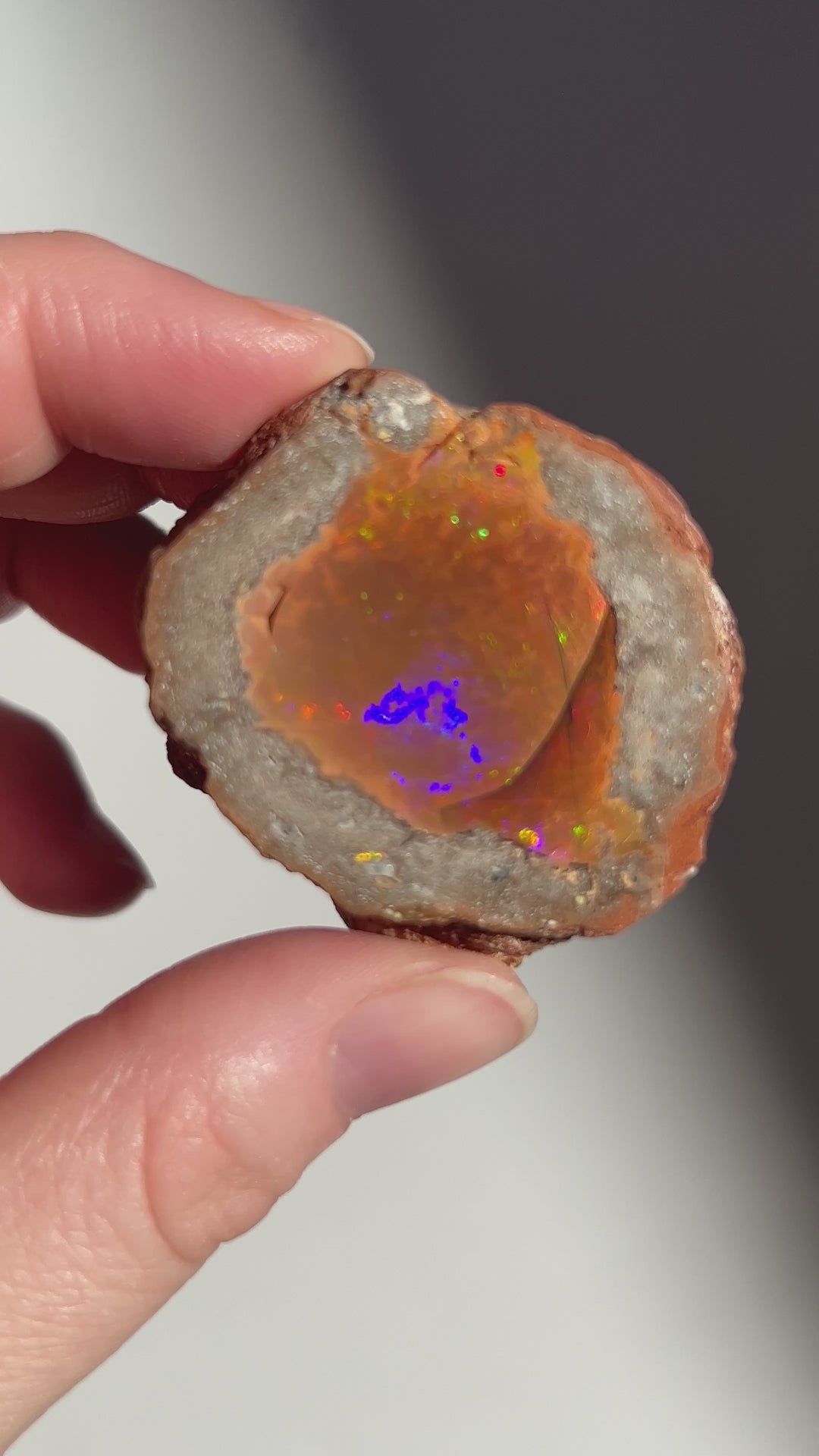 Polished Chocolate Opal (8)