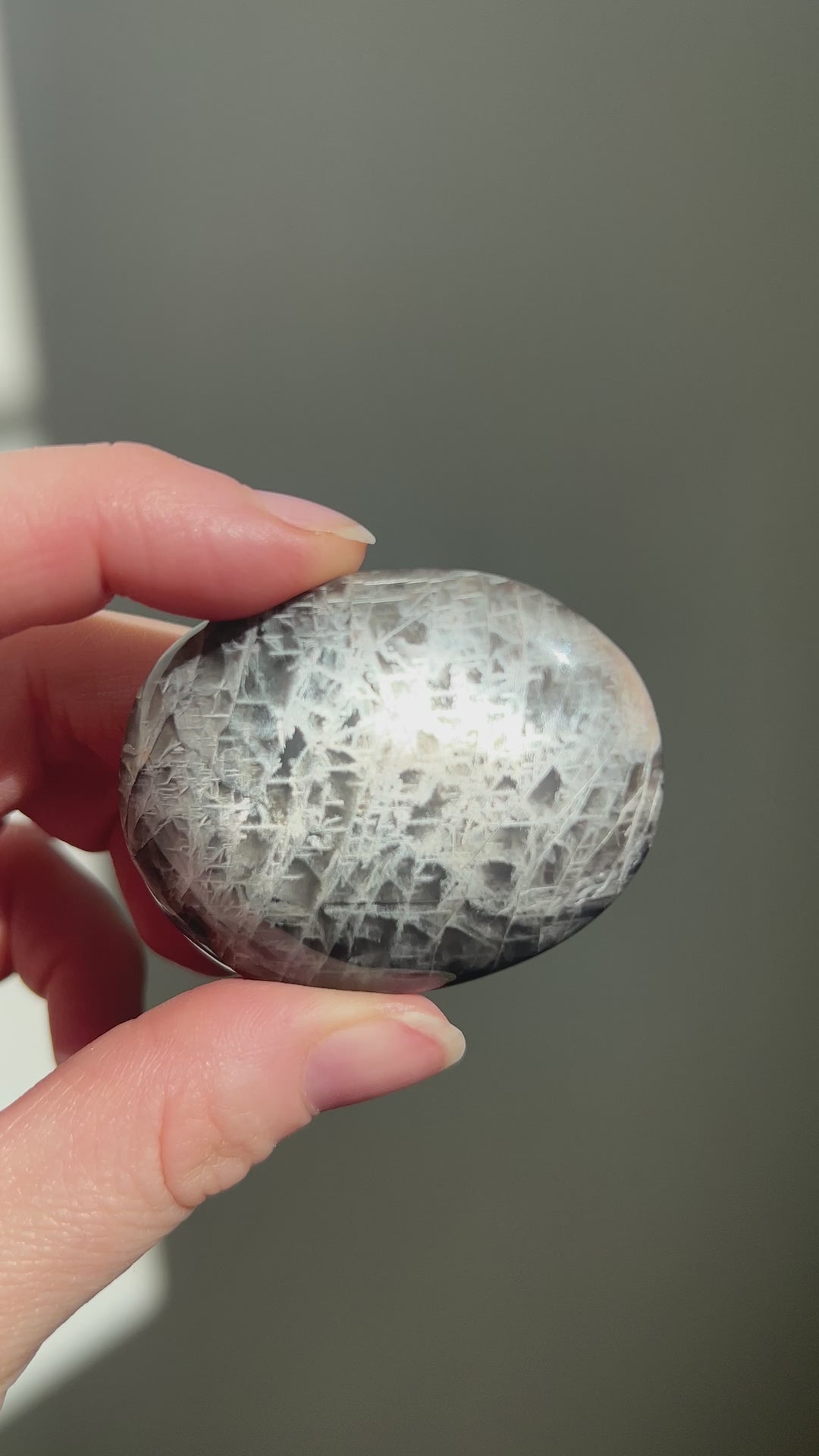 Black Moonstone Palmstone (8)