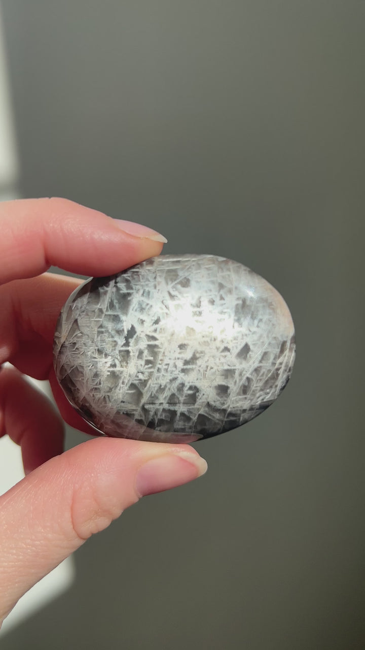 Black Moonstone Palmstone (8)