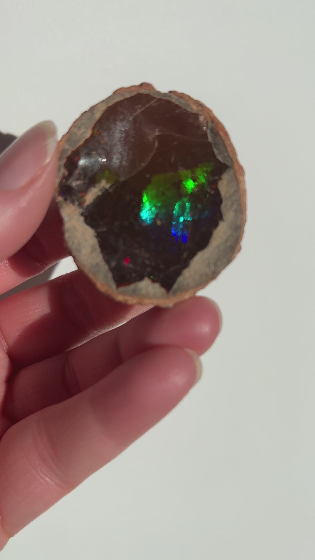 Raw Chocolate Walo Opal (3)